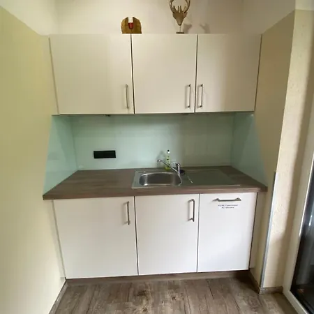 Apartment Montis *