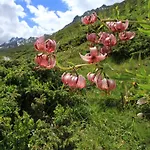 Montis Διαμέρισμα See