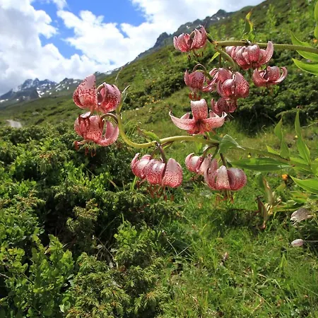 Montis Apartamento See