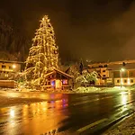 Montis * See