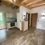 Apartment Montis *